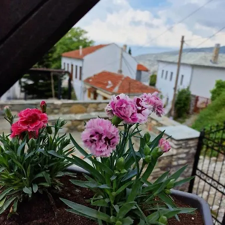 Venus Guesthouse Portaria  Exterior photo